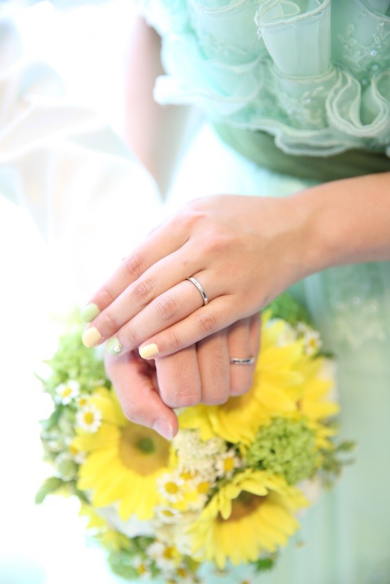 【BLOG】向日葵（ヒマワリ）