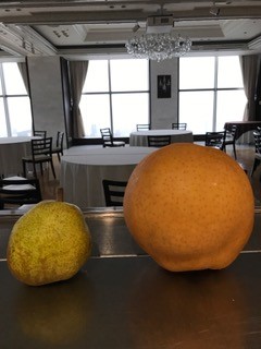 【BLOG】岡山特産！通常の3倍のあたご梨