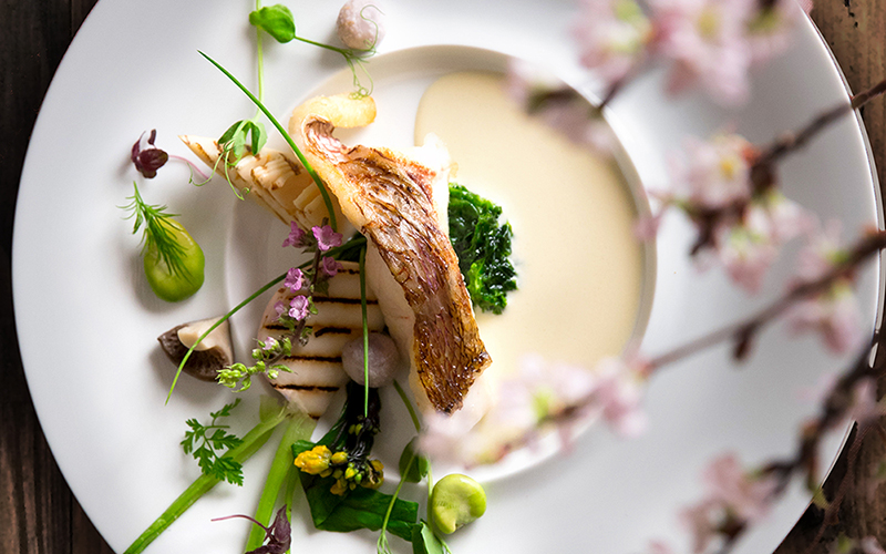 「美味しい春」はいかがですか？